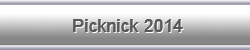 Picknick 2014